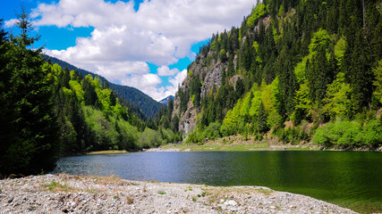 The sandy shore of mountain lake Petrimanu in a summer day. Capatanii Massif, Carpathian Mountains, Romania