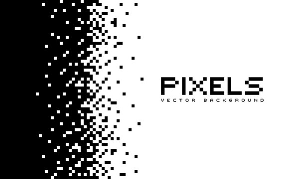 Wall Mural - Illustration disintegrates or dissolves on the pixel pattern. Vector concept of technology. Place for text. Monochrome style. Isolated background