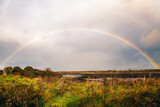 Fototapeta Tęcza - Irish landscape. Rainbow above Galway Bay shore, County Galway, Kinvara, Ireland, Atlantic Ocean. Ground and water left by ocean tide. Wild Atlantic Way - tourism trail on west coast during low tide.