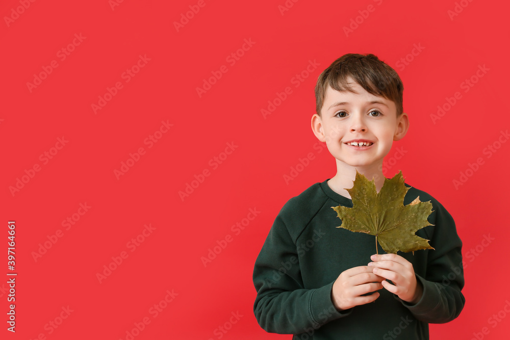 Cute little boy with autumn leaf on color background