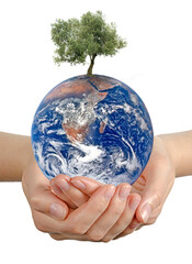 Wall Mural - Gift of Earth.Elements of this image furnished by NASA