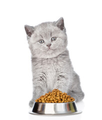 Wall Mural - Kitten sits with bowl of dry food for pets. isolated on white background