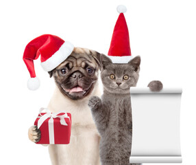 Sticker - Pug puppy holds gift box. Funny cat holds empty list. Pets wearing red christmas hats. isolated on white background