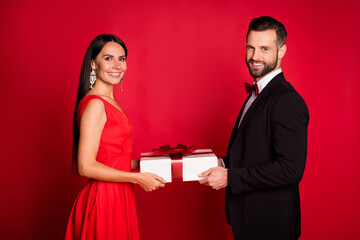 Wall Mural - Profile photo of nice optimistic couple hold present wear suit dress isolated on red color background