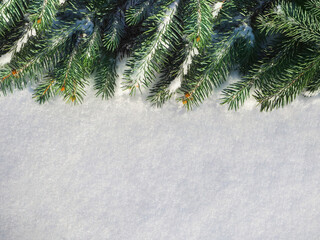 Wall Mural - Closeup of Christmas tree with snow background