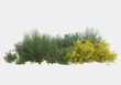 Green surface covered with wild grass and flowers isolated on grey background. 3d rendering - illustration
