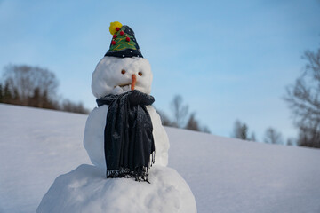 Wall Mural - Snowman.