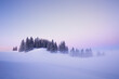 © Jan Becke/ADDICTIVE STOCK - Picturesque winter landscape of snowy valley covered by coniferous woods at sunset