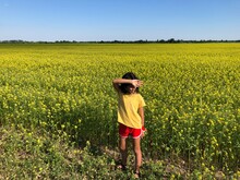 Girl In A Yellow Field