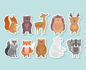 Sticker - cute squirrel bear hedgehog raccoon wolf fox animal with stars in cartoon icons