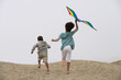 © Annika Erickson/Blend Images - Mixed race children running on beach with kite