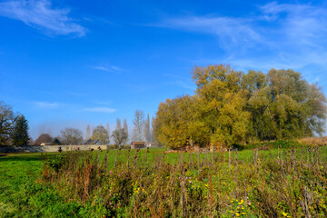 Wall Mural - Herbststimmung Bodenseeufer Insel Reichenau