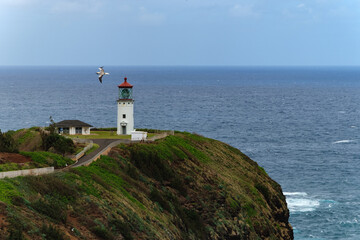 Wall Mural - a lighthouse on a cliff overlooking the ocean