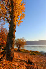 Wall Mural - Sonnenuntergang am Bodensee (Insel Reichenau) 