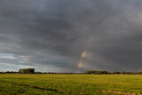 Fototapeta Tęcza - Regenbogen in der Landschaft