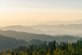Fototapeta Fototapety z widokami - Gorce o świcie, widok ze szczytu Magurki, szczyty w porannych mgłach