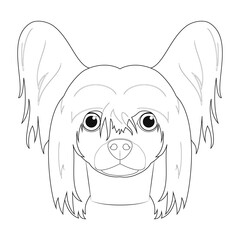 Wall Mural - Chinese Crested dog easy coloring cartoon vector illustration. Isolated on white background