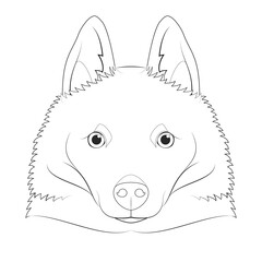 Wall Mural - Schipperke dog easy coloring cartoon vector illustration. Isolated on white background