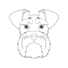 Wall Mural - Schnauzer dog easy coloring cartoon vector illustration. Isolated on white background