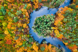 Aerial view of colorful autumn forest and blue river, Poland