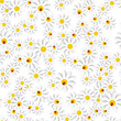 © olegganko - Flora Daisy Design Background. Seamless pattern. Vector Illustartion EPS10
