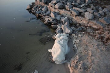 Wall Mural - rocks in the sea