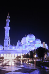 Wall Mural - Sheikh Zayed Mosque in Abu Dhabi, UAE, Middle East
