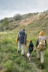 Poster - Back view of backpackers in warm casualwear and their pet moving down footpath