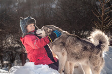 Happy Boy Playing With An Alaskan Malamute Outdoors In The Winter Mountains. Love And Friendship Of The Child And Dog. Isolation In Quarantine Of Coronavirus Covid19. Pets And People. Child Hugs Husky