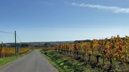 Wall Mural - Vignes à Saint-Émilion en automne, Gironde