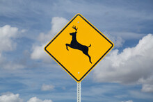 Deer Crossing Sign On Blue Sky Background (North American Road Sign)