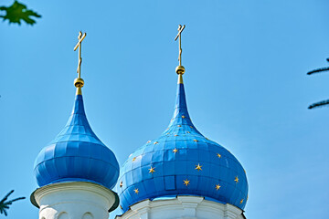 Wall Mural - russia 2020. Church domes behind a tree branch. general plan