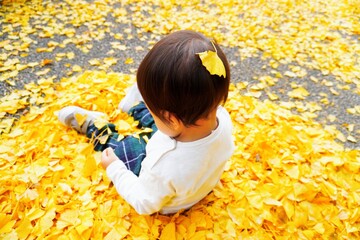 頭に葉をつけて黄色い銀杏の落ち葉で遊ぶ赤ちゃん