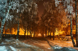 Fototapeta Na ścianę - Snow-covered path in the Park in winter in the cold