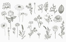 Line Object Collection With Hand,magnolia,rose,lavender,jasmine,leaf,flower,sunflower