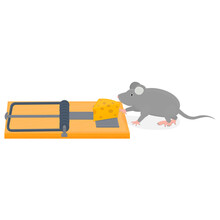 Mousetrap. Animal mouse in a trap. Bait, vector illustration