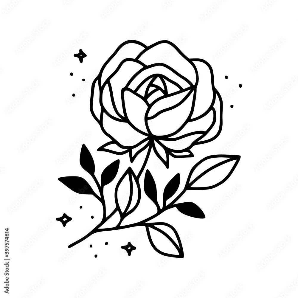 Hand drawn vector feminine logo design line art. Rose flower and ...