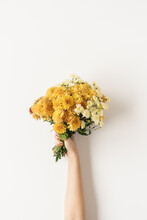 Flatlay Of Female Hand Holding Yellow And Ginger Fall Wild Flowers Bouquet Isolated On White Background. Top View Minimalistic Floral Composition. Valentine's Day, Mother's Day Concept.