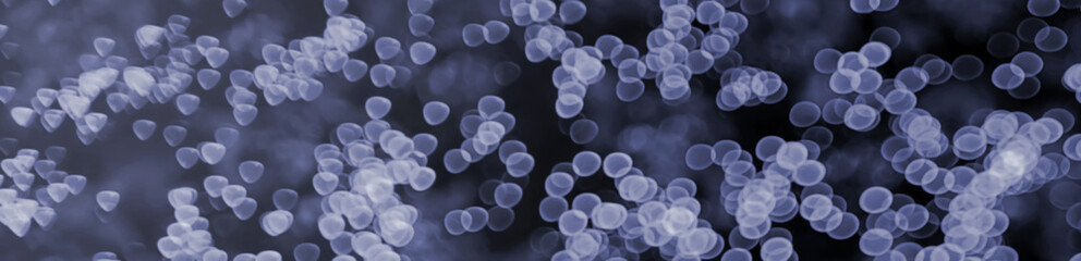 Wall Mural - blurred backdrop, blurred background, circle blur, bokeh blur from the light shining through as a ba