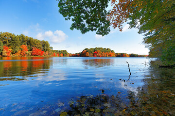 Wall Mural - Beautiful New England Fall Foliage with reflections before sunrise, Boston Massachusetts.