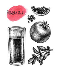 Canvas Print - ink sketch of pomegranate juice.