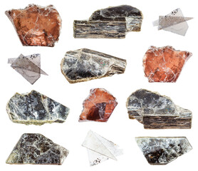 Wall Mural - collection of various Muscovite (Common Mica) natural minerals isolated on white background