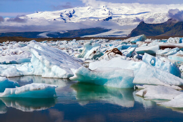 Poster - Icebergs and ice floes