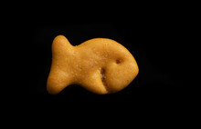 Goldfish Cracker