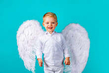 Child Angel. Cute Baby Boy With White Feather Angel Wings On Blue Background. Valentines Day Cupid Child.