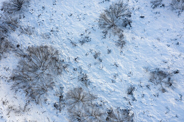 Wall Mural - top view of the snow-covered ground and bushes. winter aerial view. natural background.