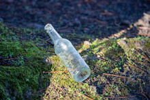 Empty Discarded Glass Bottle Lies On A Forest Floor