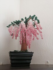 Wall Mural - bonsai tree in a vase