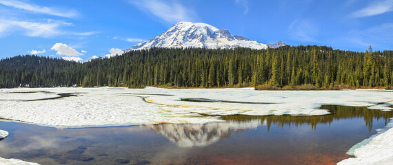 Canvas Print - Panoramic view of Mirror lake landscape in Mount Rainier national park
