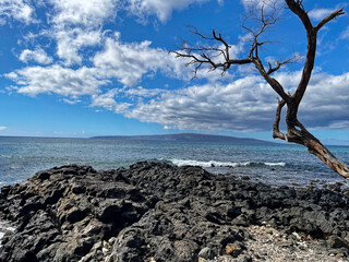 Hawaiian waves and shore